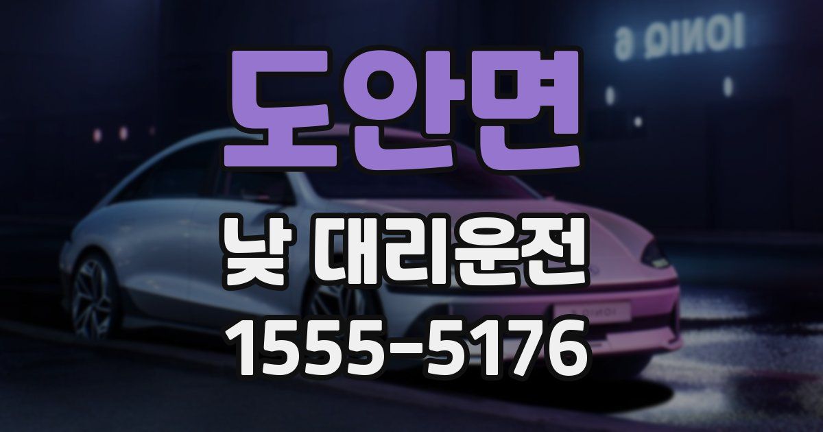 도안면 낮 대리운전