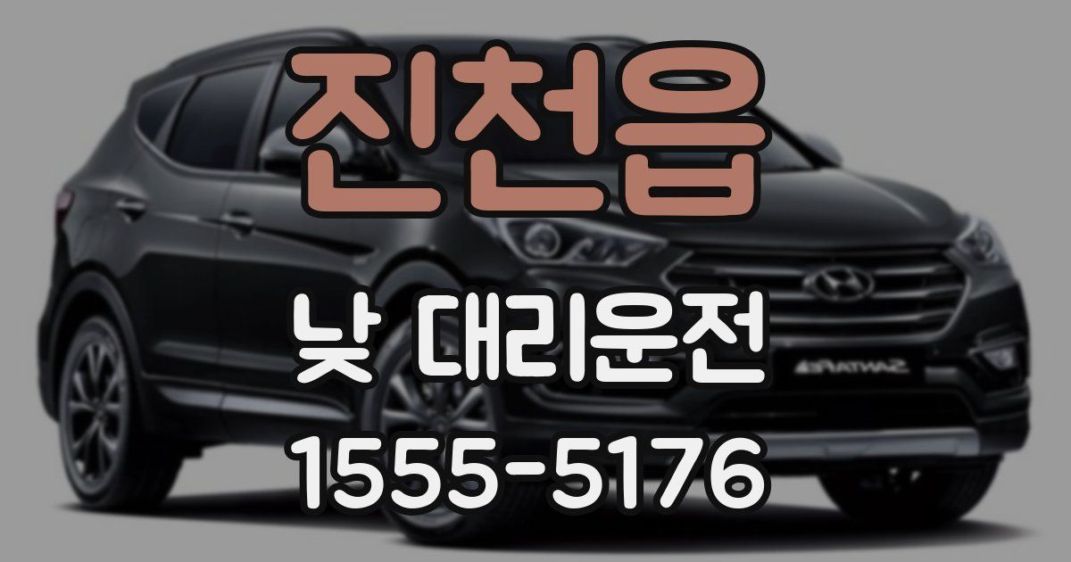 진천읍 낮 대리운전