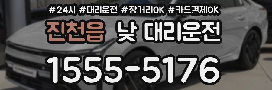 진천읍 낮 대리운전