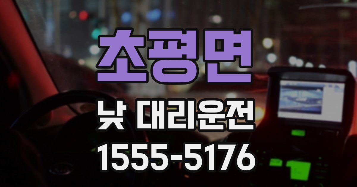 초평면 낮 대리운전