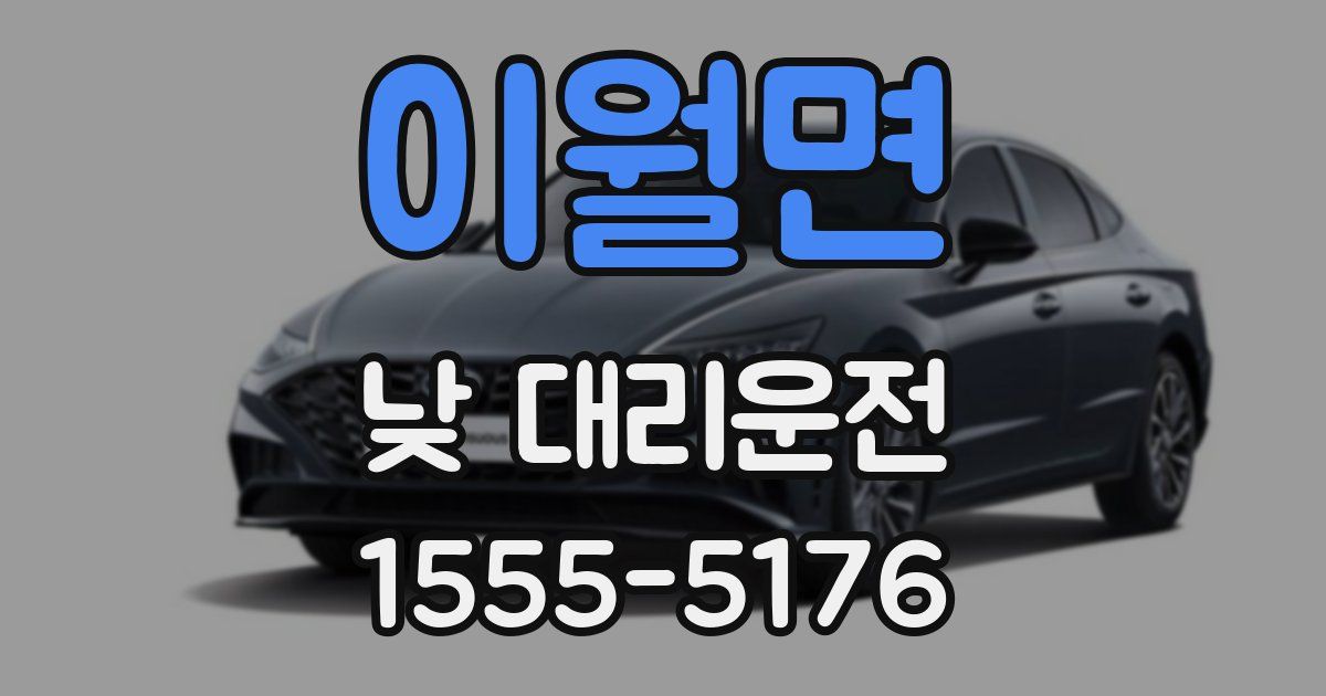 이월면 낮 대리운전