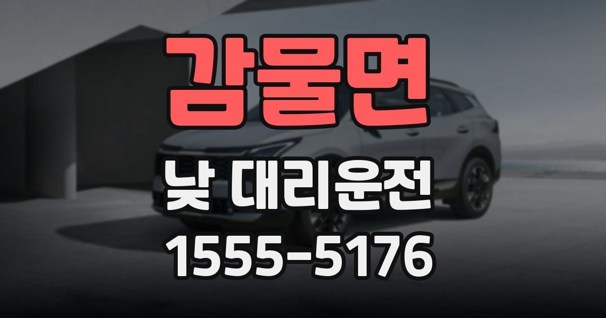 감물면 낮 대리운전