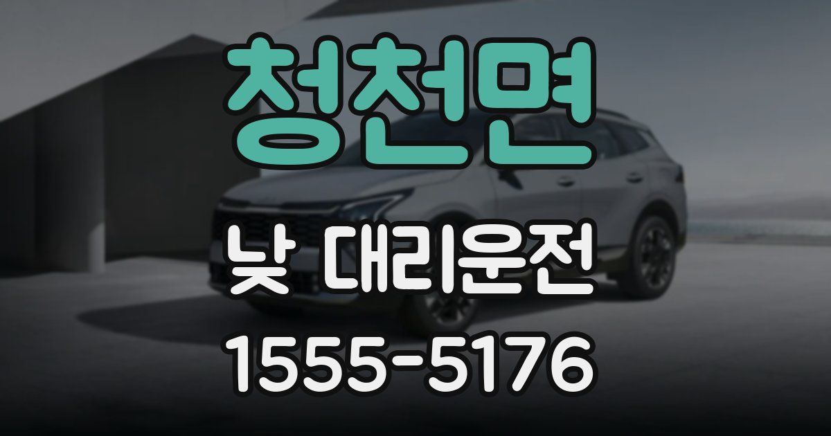 청천면 낮 대리운전