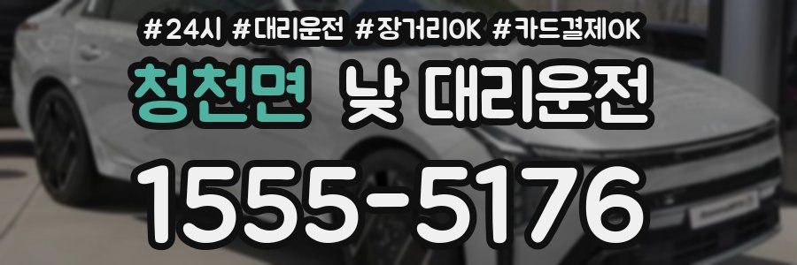 청천면 낮 대리운전