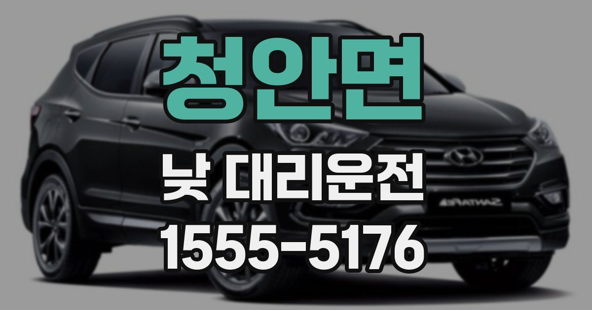 청안면 낮 대리운전