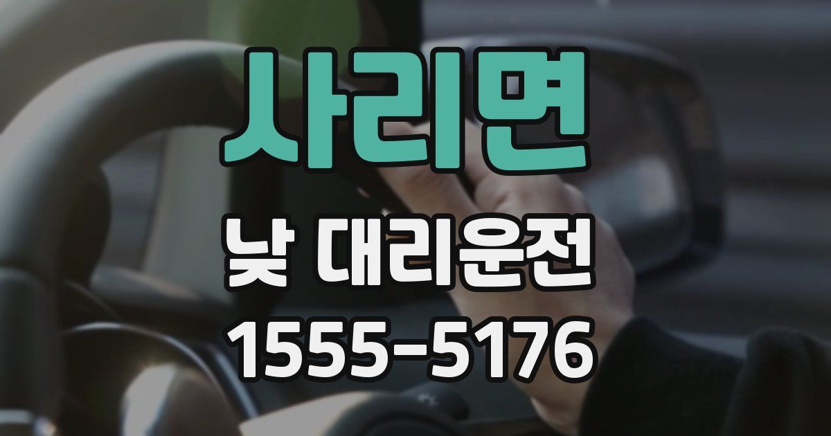 사리면 낮 대리운전