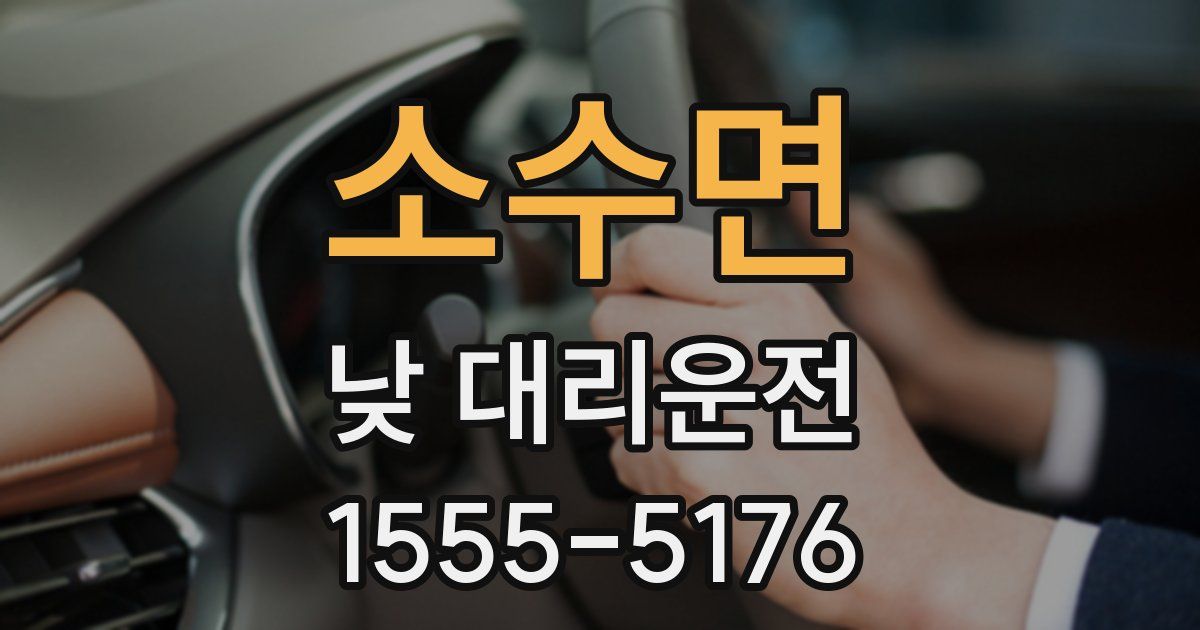 소수면 낮 대리운전