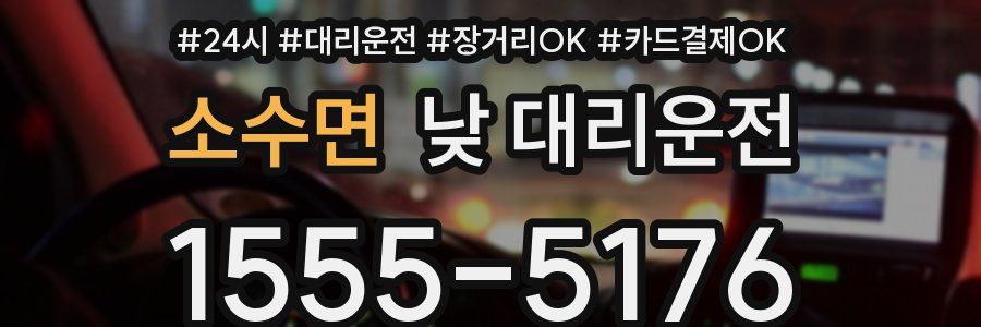 소수면 낮 대리운전