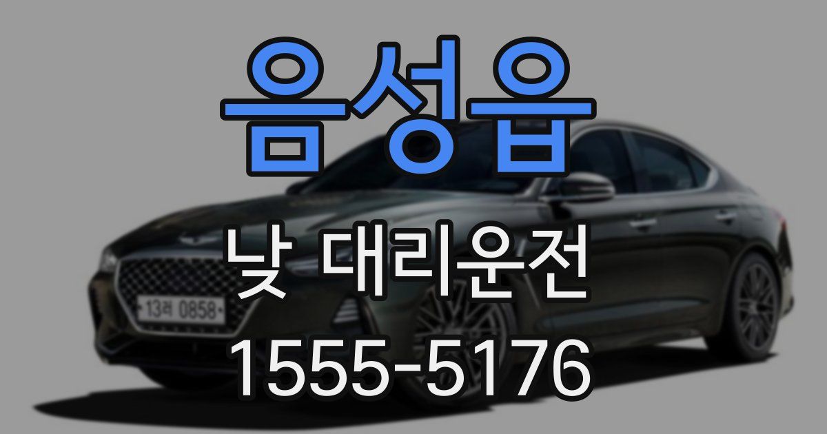음성읍 낮 대리운전