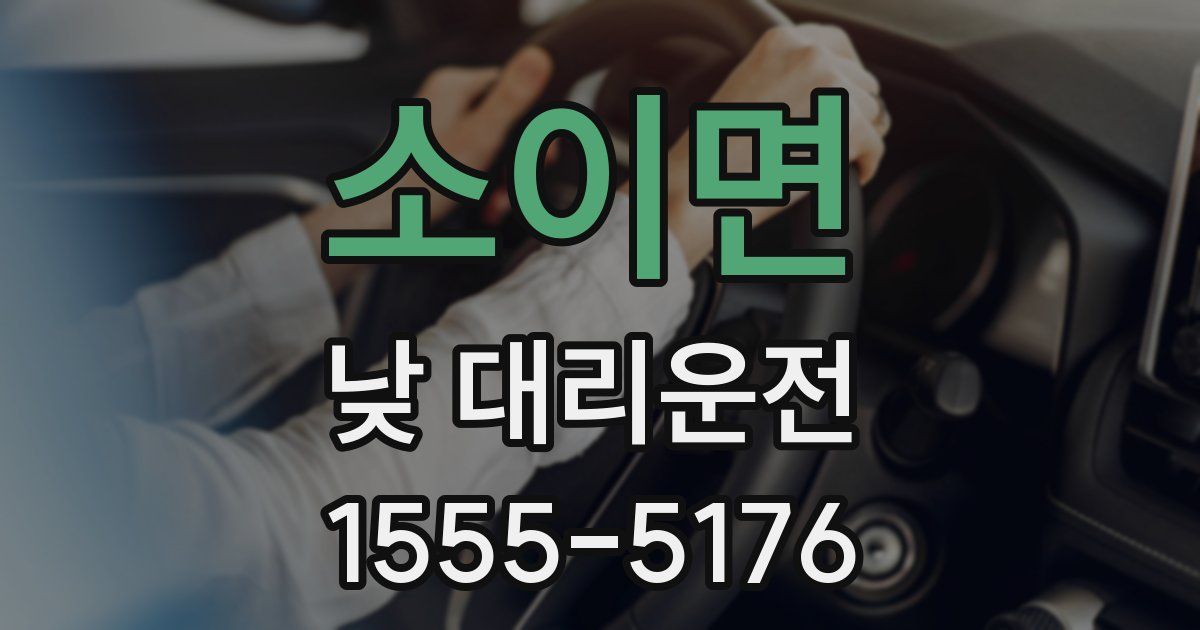 소이면 낮 대리운전