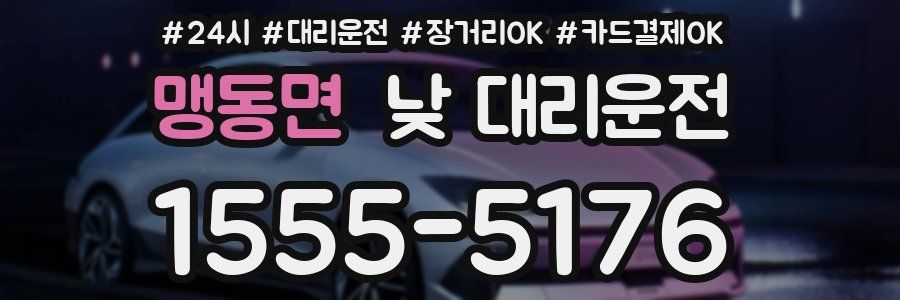맹동면 낮 대리운전
