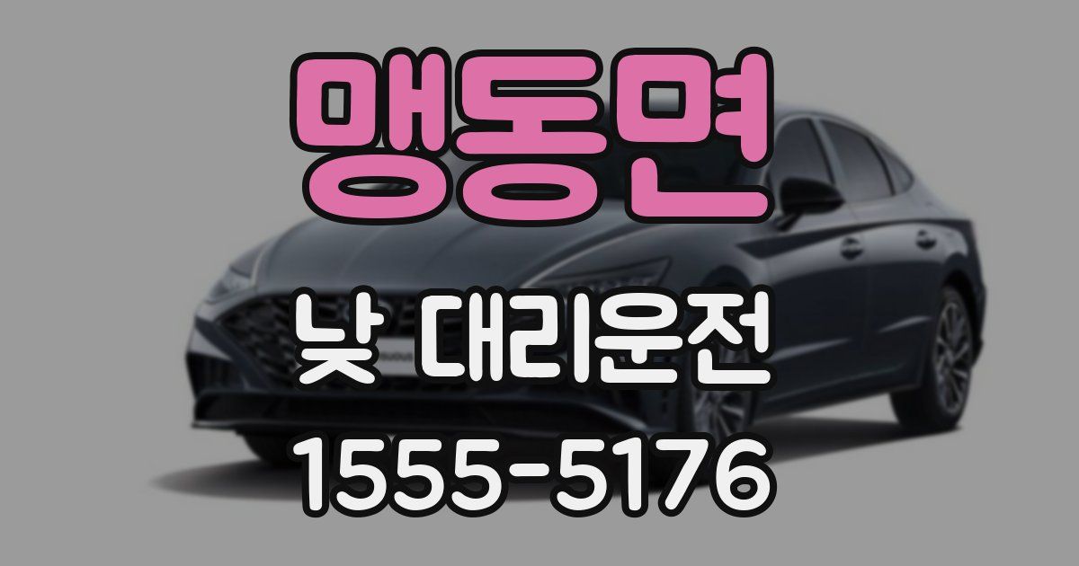 맹동면 낮 대리운전