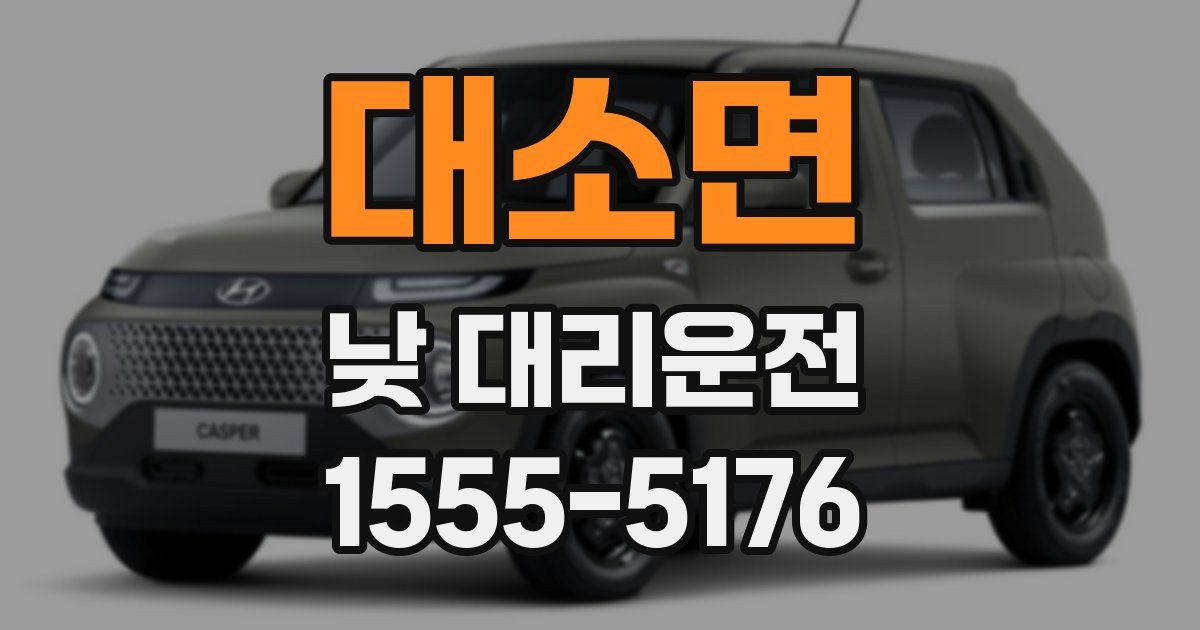 대소면 낮 대리운전