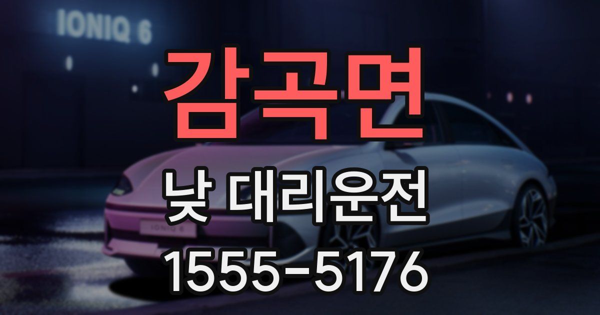 감곡면 낮 대리운전