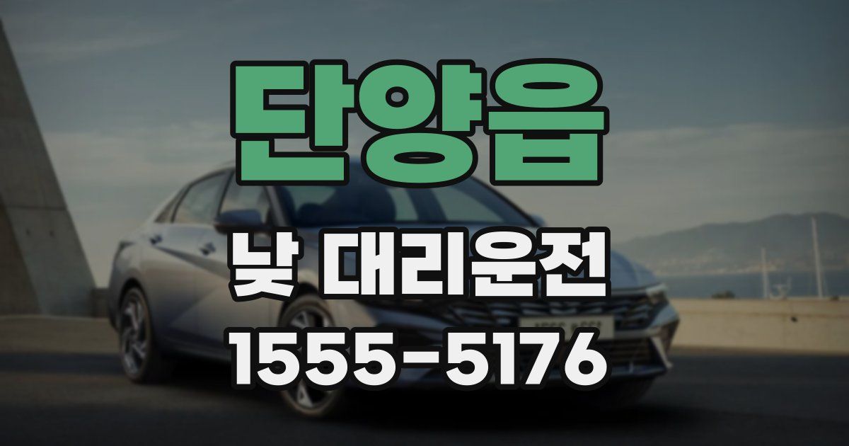 단양읍 낮 대리운전
