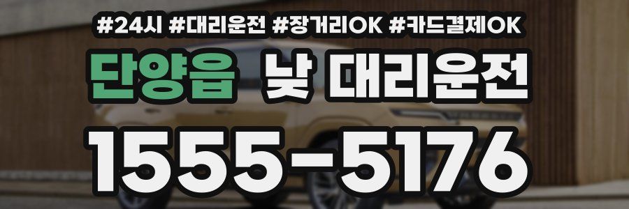 단양읍 낮 대리운전