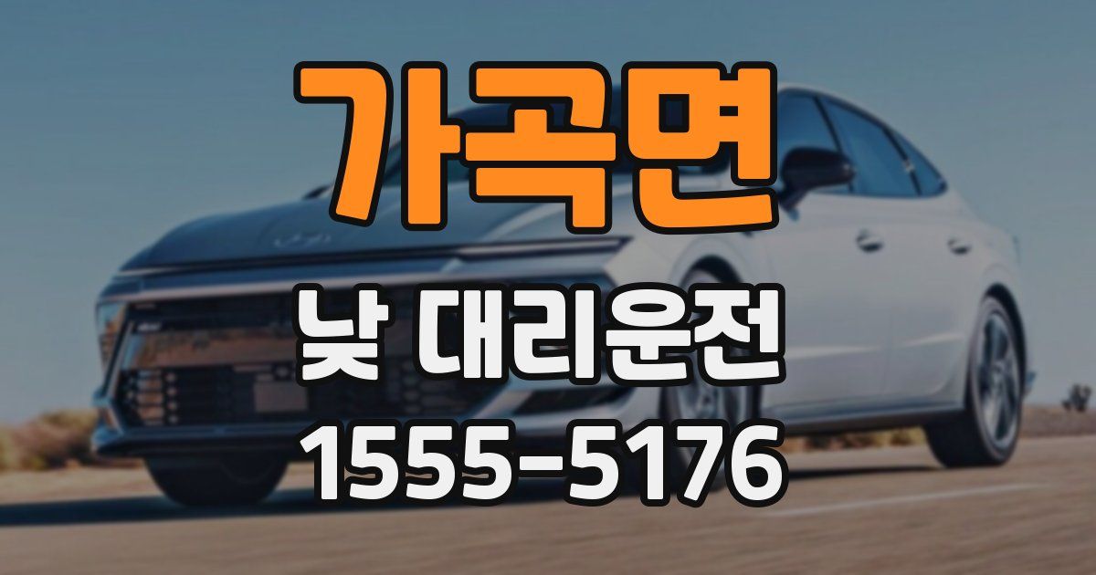 가곡면 낮 대리운전