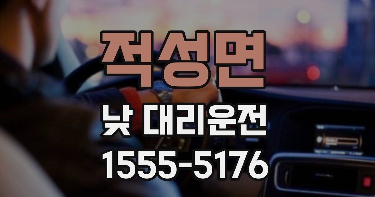 적성면 낮 대리운전