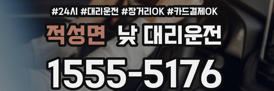 적성면 낮 대리운전