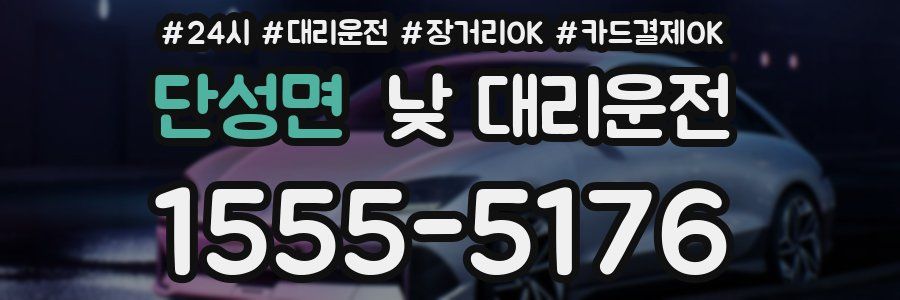 단성면 낮 대리운전