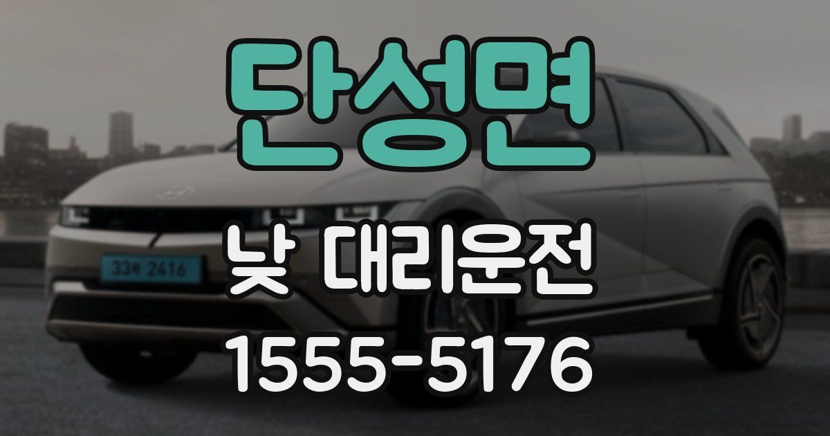 단성면 낮 대리운전