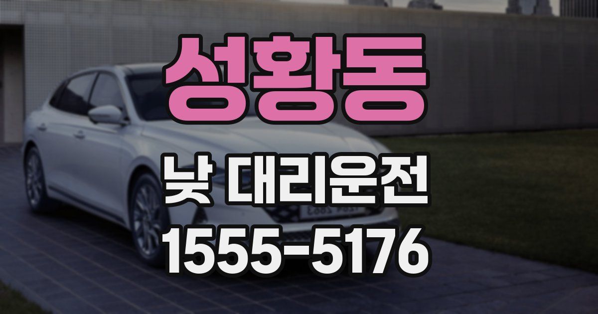 성황동 낮 대리운전