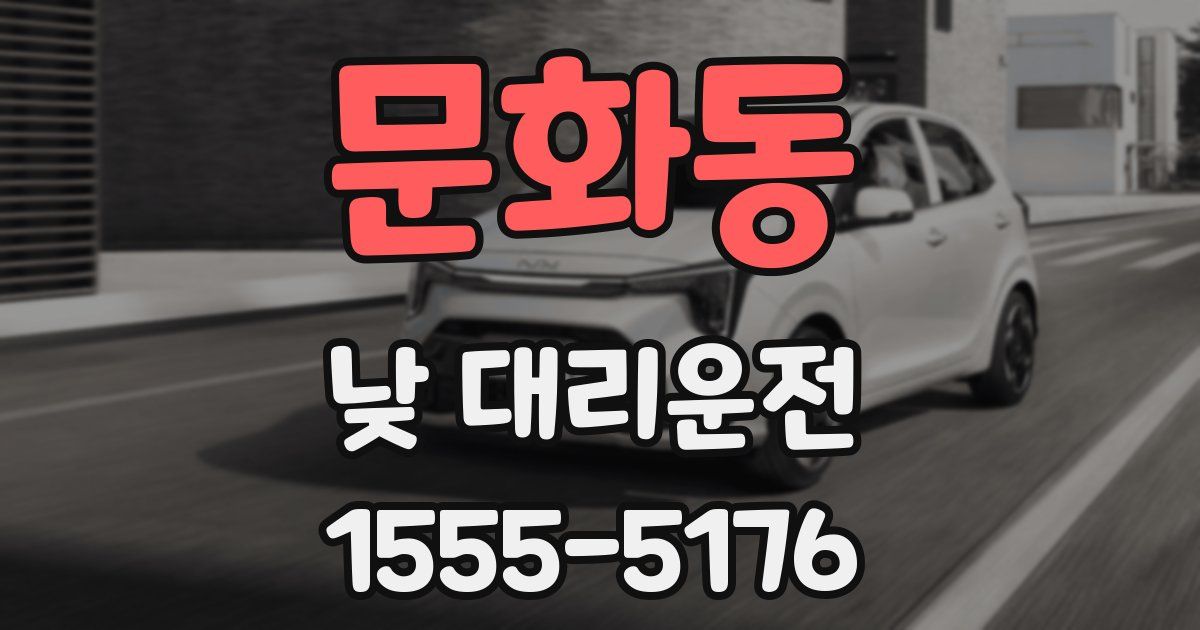 문화동 낮 대리운전