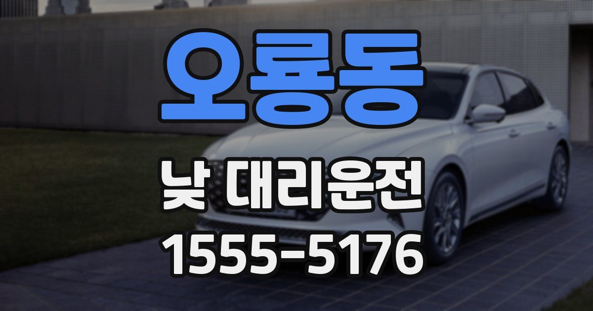 오룡동 낮 대리운전
