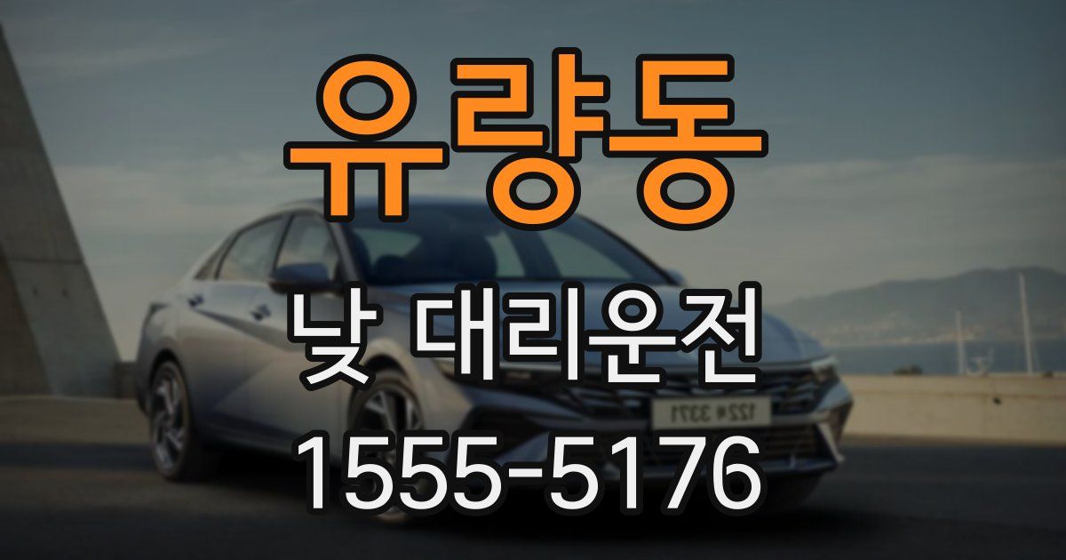 유량동 낮 대리운전