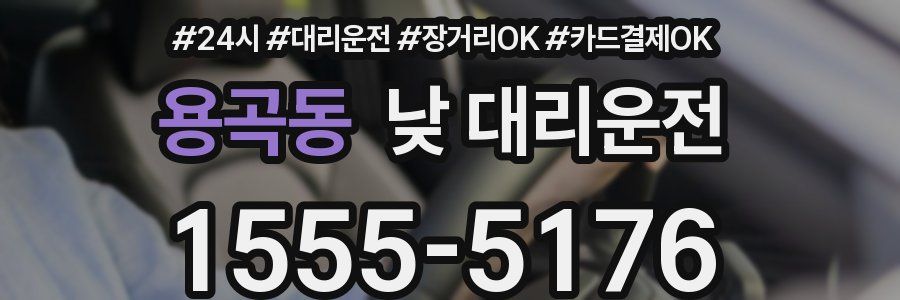용곡동 낮 대리운전