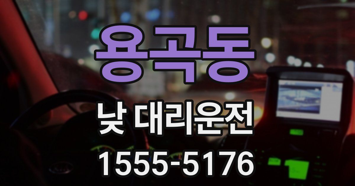 용곡동 낮 대리운전