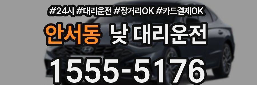 안서동 낮 대리운전