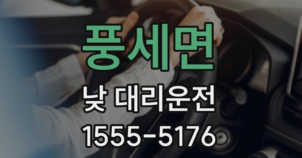 풍세면 낮 대리운전