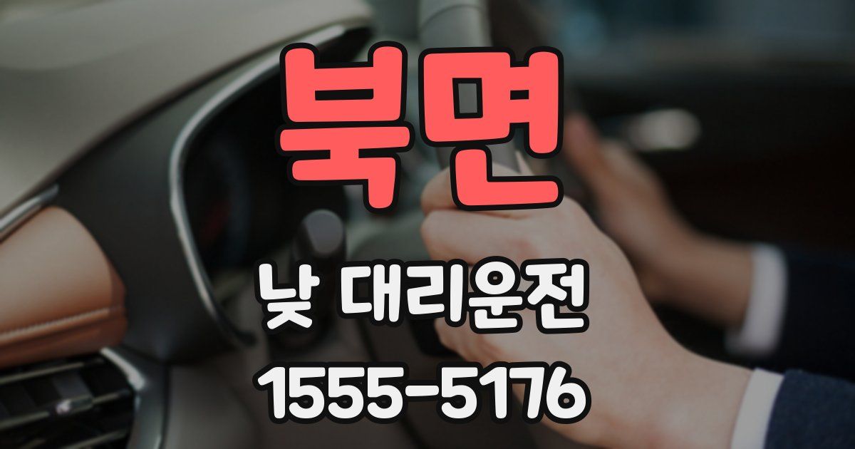 북면 낮 대리운전