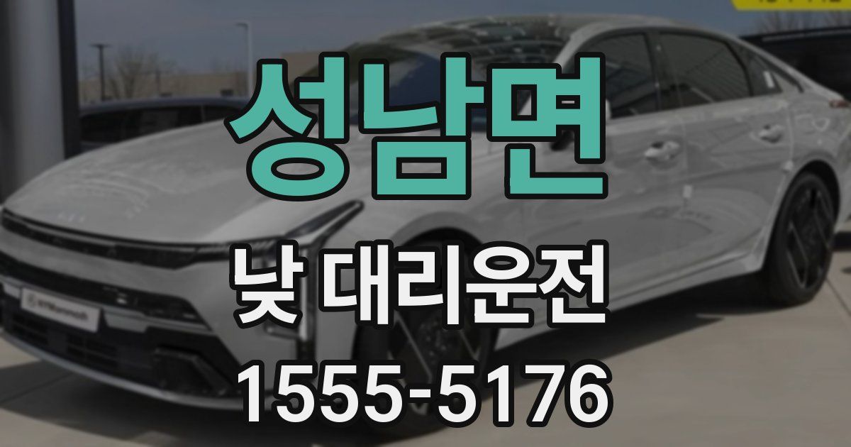 성남면 낮 대리운전