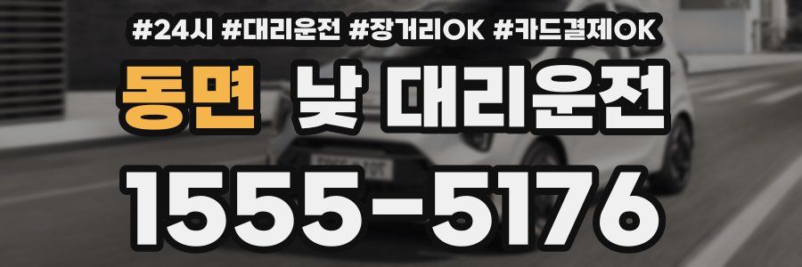 동면 낮 대리운전
