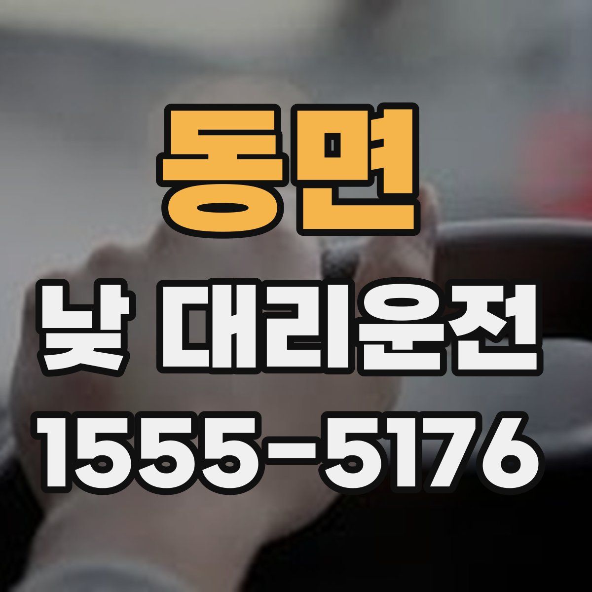 동면 낮 대리운전