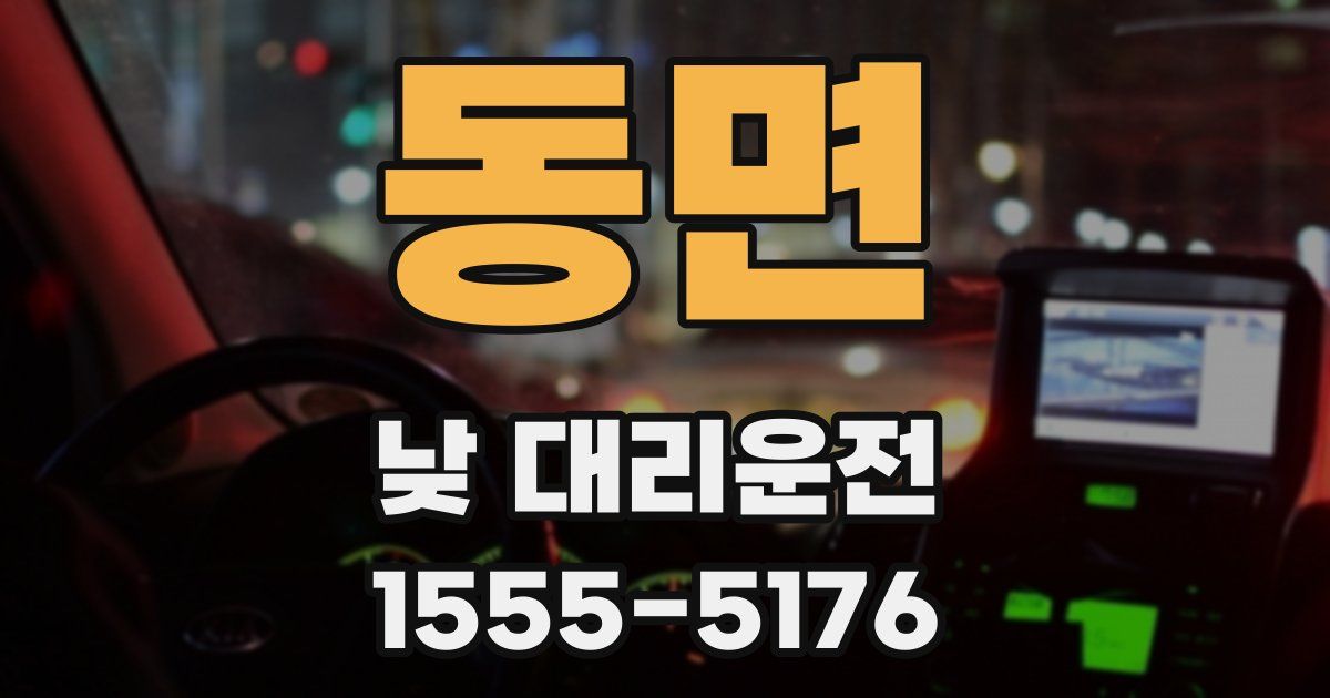 동면 낮 대리운전