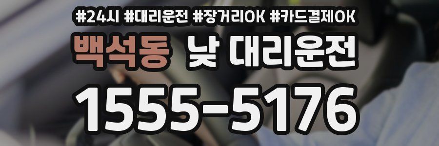 백석동 낮 대리운전