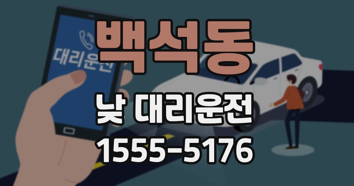 백석동 낮 대리운전