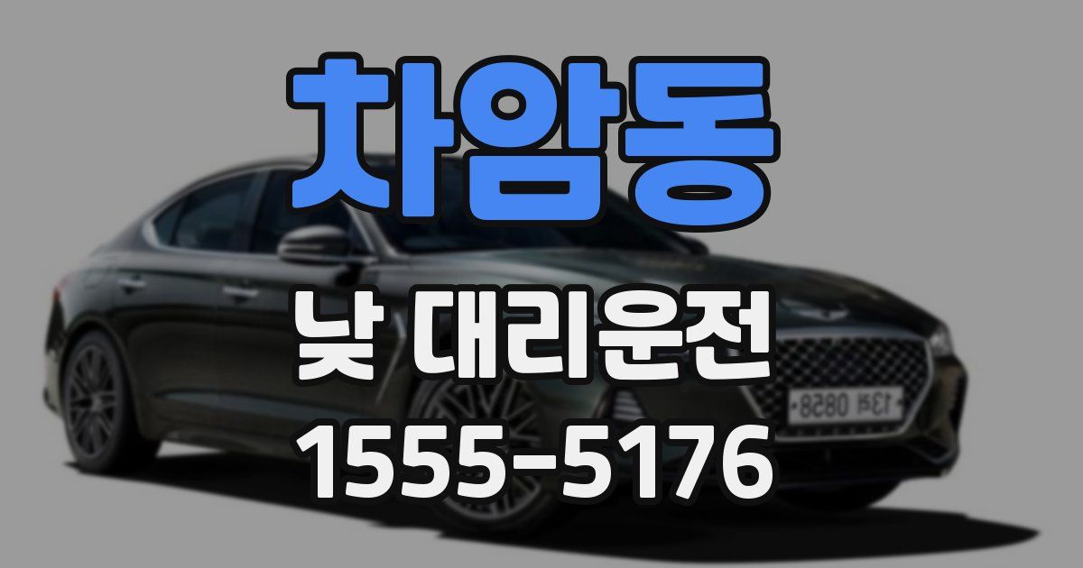차암동 낮 대리운전