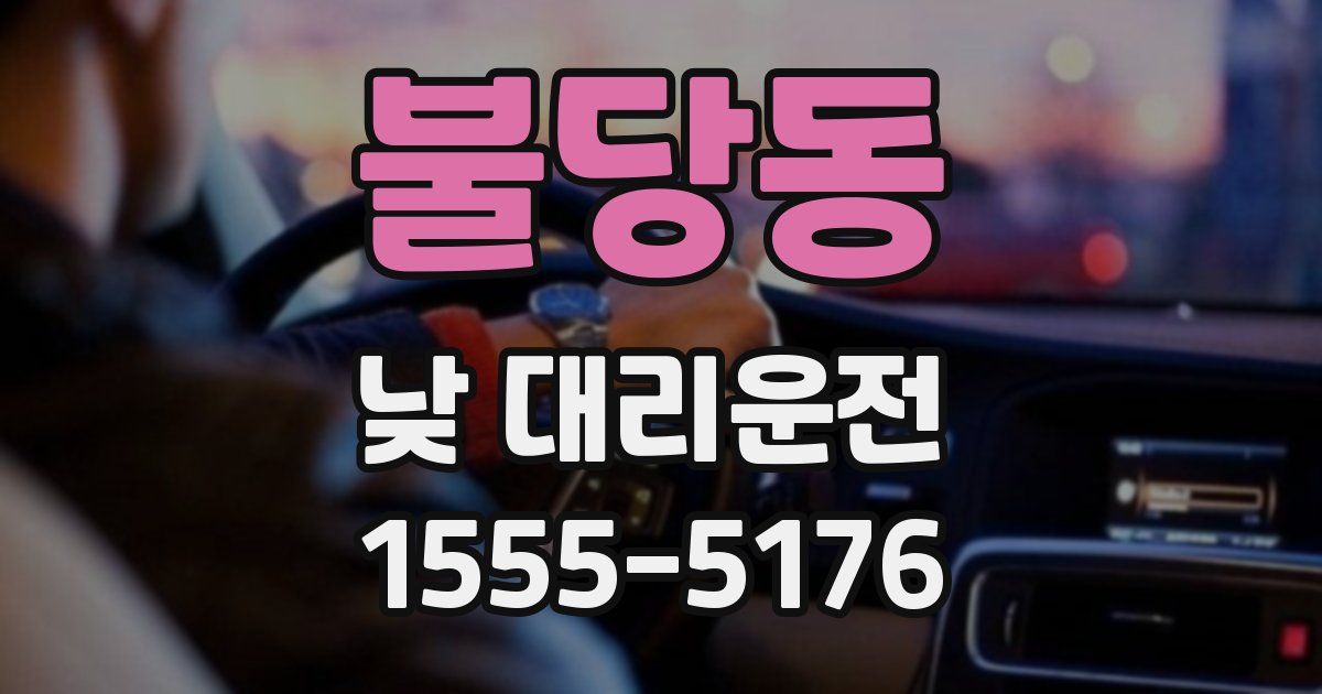 불당동 낮 대리운전