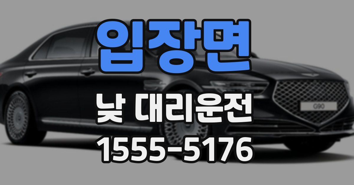 입장면 낮 대리운전