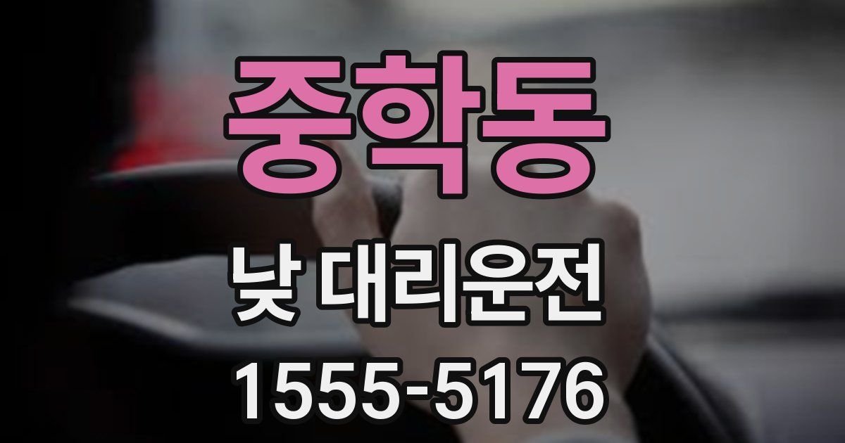 중학동 낮 대리운전