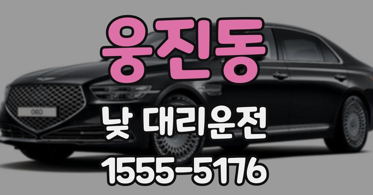 웅진동 낮 대리운전