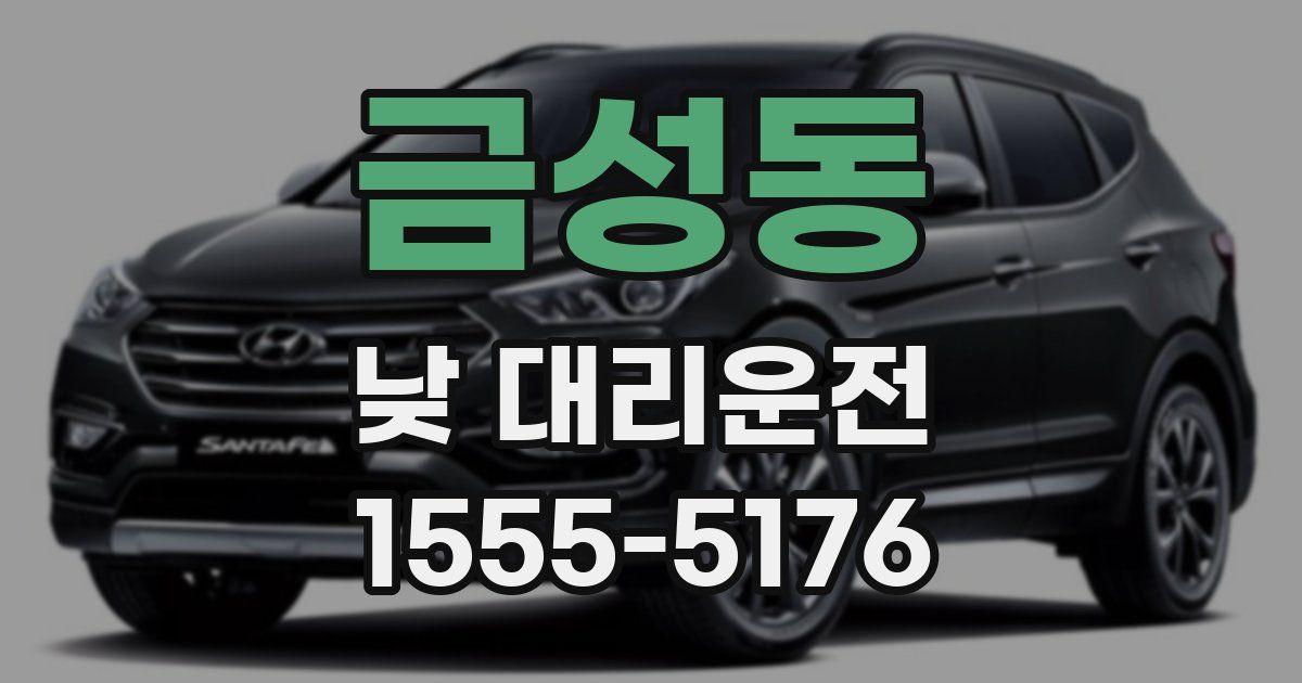 금성동 낮 대리운전