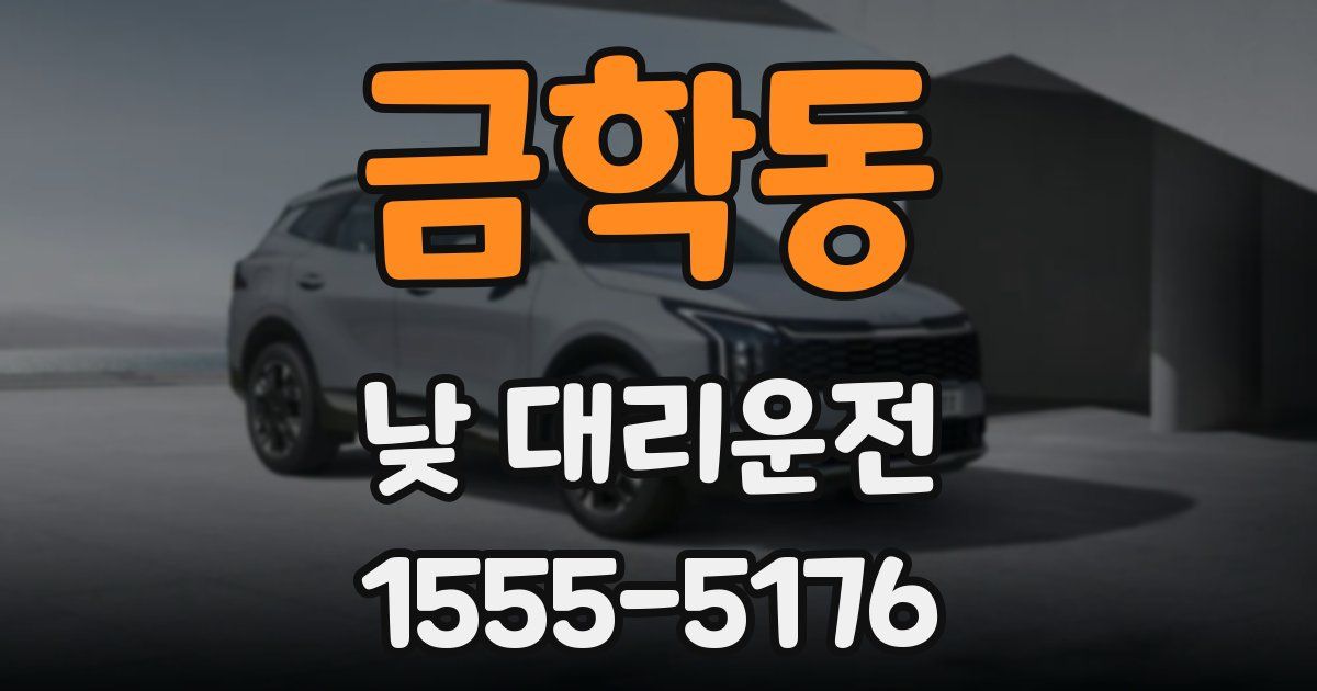 금학동 낮 대리운전