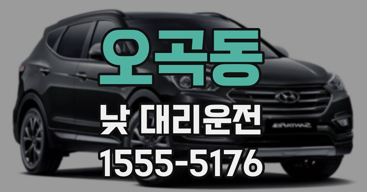 오곡동 낮 대리운전