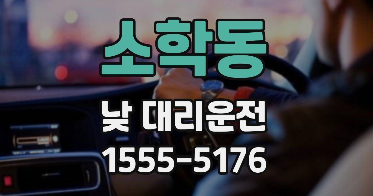 소학동 낮 대리운전