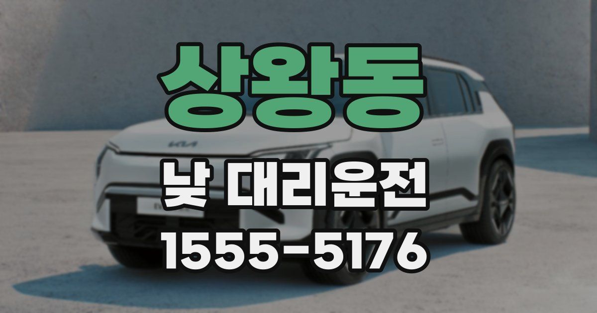 상왕동 낮 대리운전